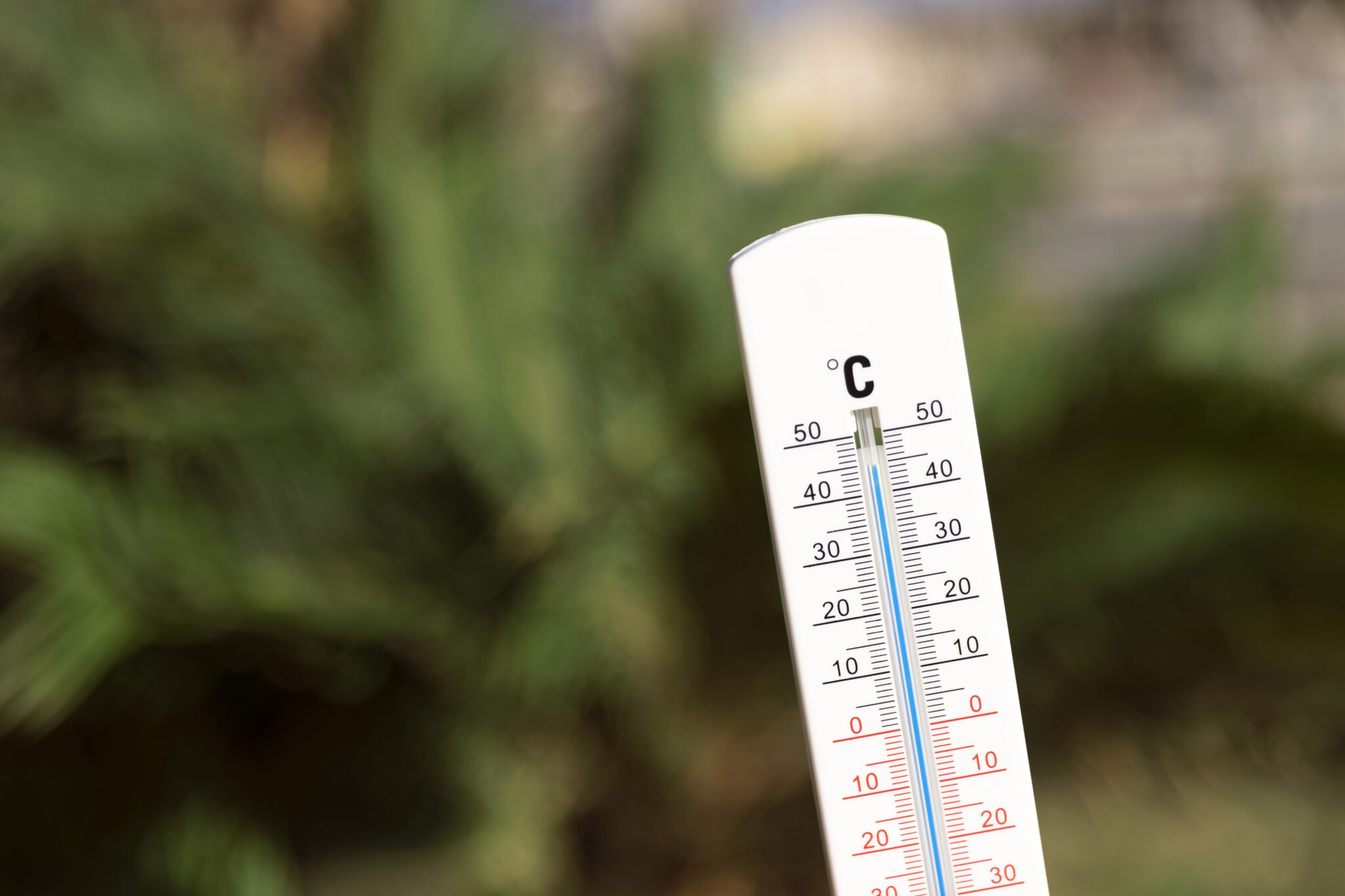 Hecar Temperaturas altas y más bacterias: infecciones comunes durante el ...